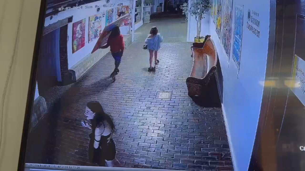 Video shows artwork stolen from Mellwood Art Center days before gallery opening in Louisville
